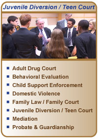 court teen program offenders diversion sixth circuit