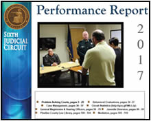 2017 Annual Performance Report