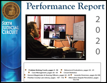 2020 Annual Performance Report